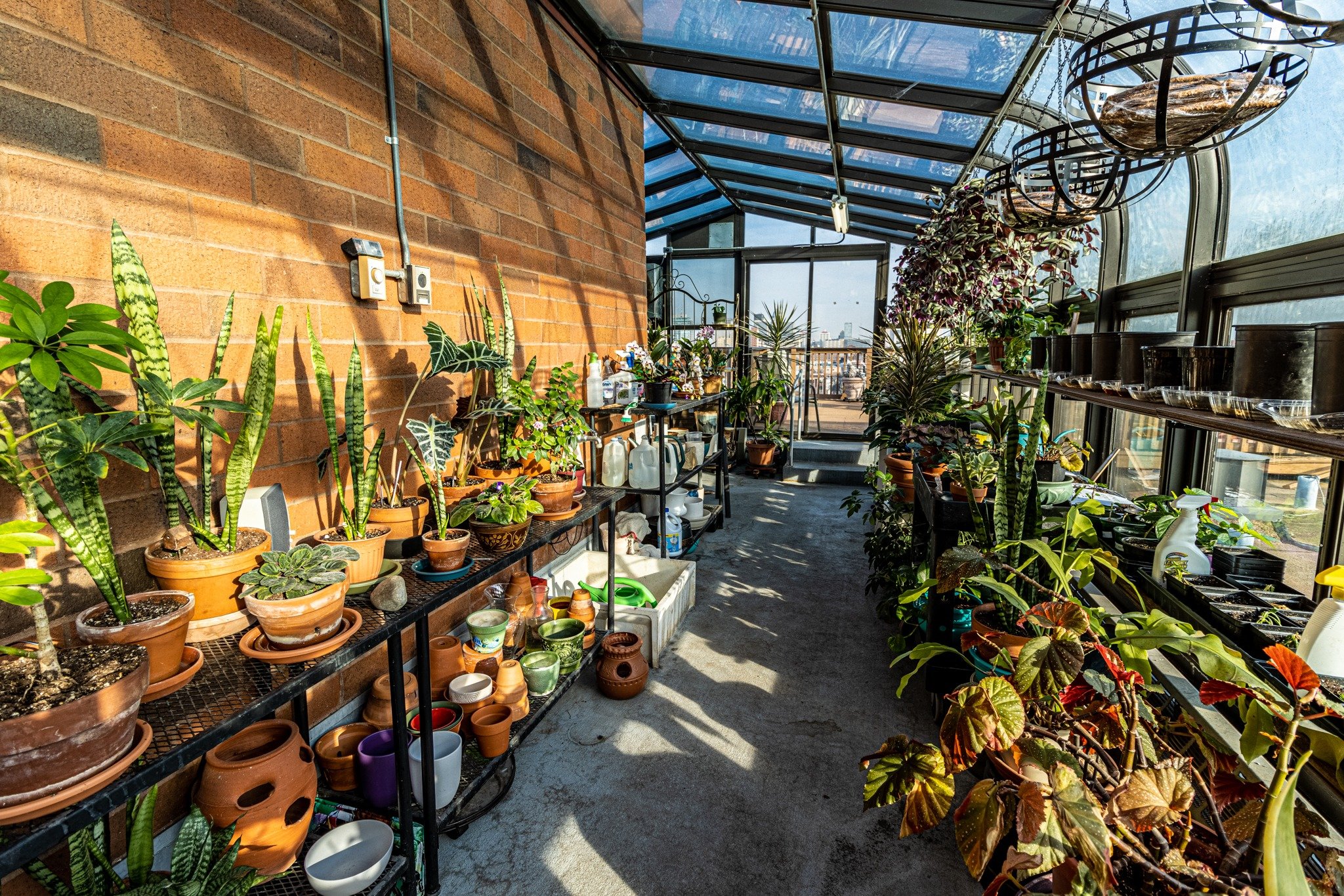 Treyton Oak Towers Rooftop Greenhouse